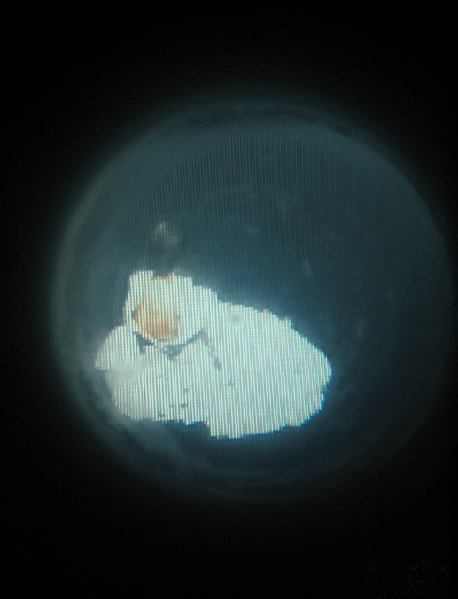 cyclawomen©Lisecouzinier