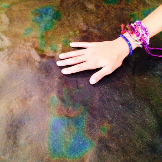 1796546_10154685487570065_1697137499655437752_n