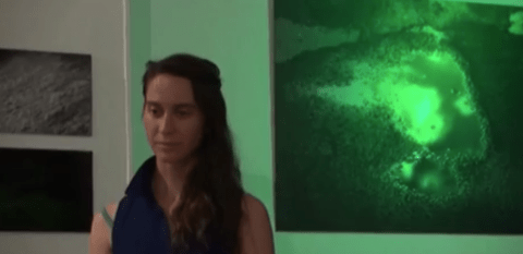 Capture d’écran 2014-11-02 à 12.24.51