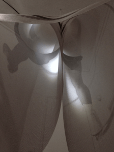 detail drapeau ©lisecouzinier