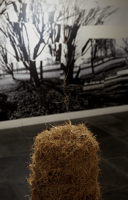 Capture d’écran 2016-03-20 à 19.07.32.png