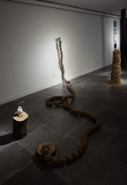 Capture d’écran 2016-03-20 à 19.09.48.png