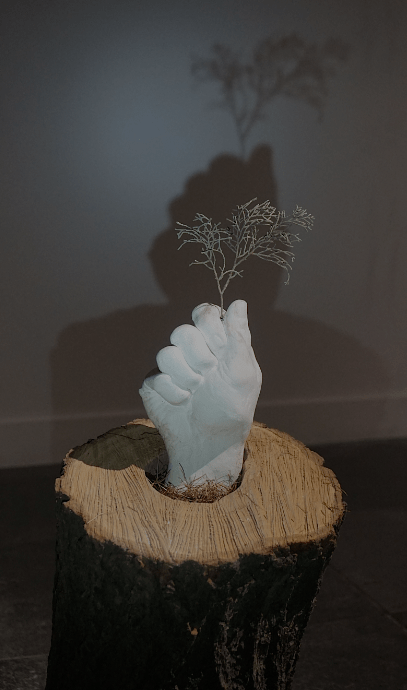 Capture d’écran 2016-03-20 à 19.13.18.png