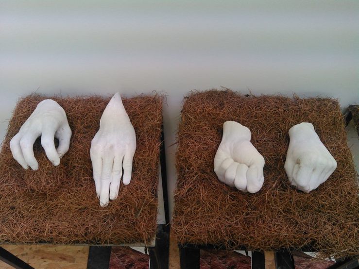 1934777_10208993229888236_2288330336567977511_n